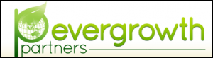 logo evergrowth partners 2