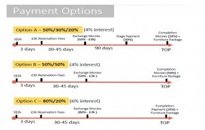 Payment Option 17