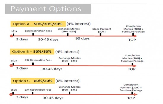 Payment Option 17